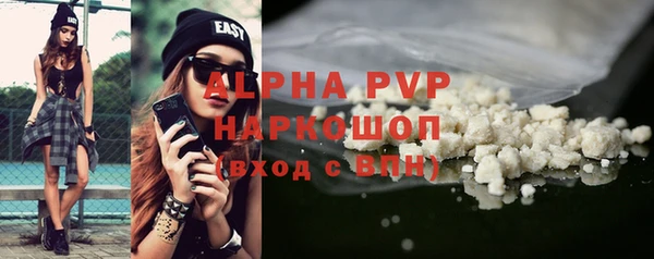 амф Новодвинск