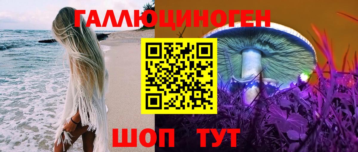 Псилоцибиновые грибы Psilocybine cubensis Чусовой