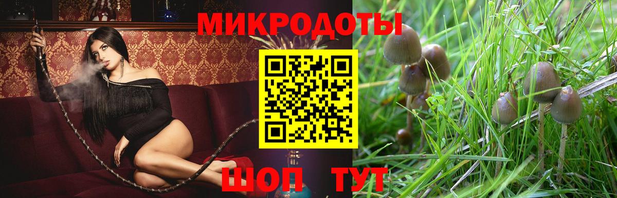 Чусовой  Псилоцибиновые грибы Cubensis  как найти наркотики  Вход с VPN 